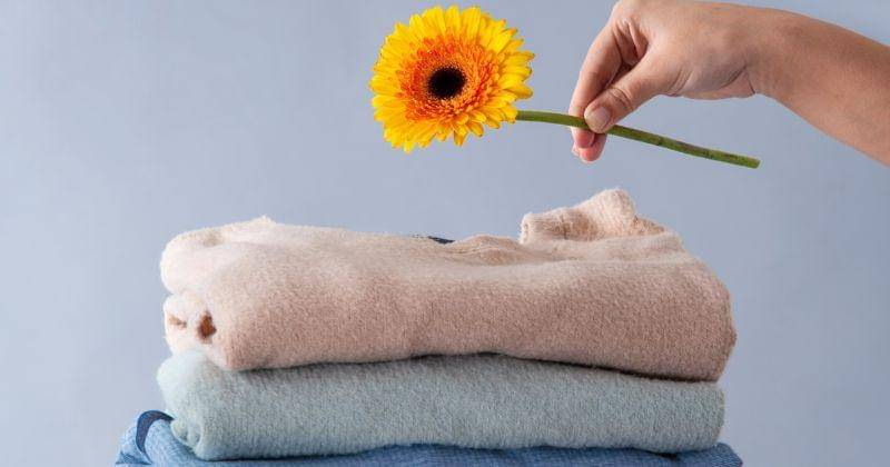 Freepik/pikisuperstar